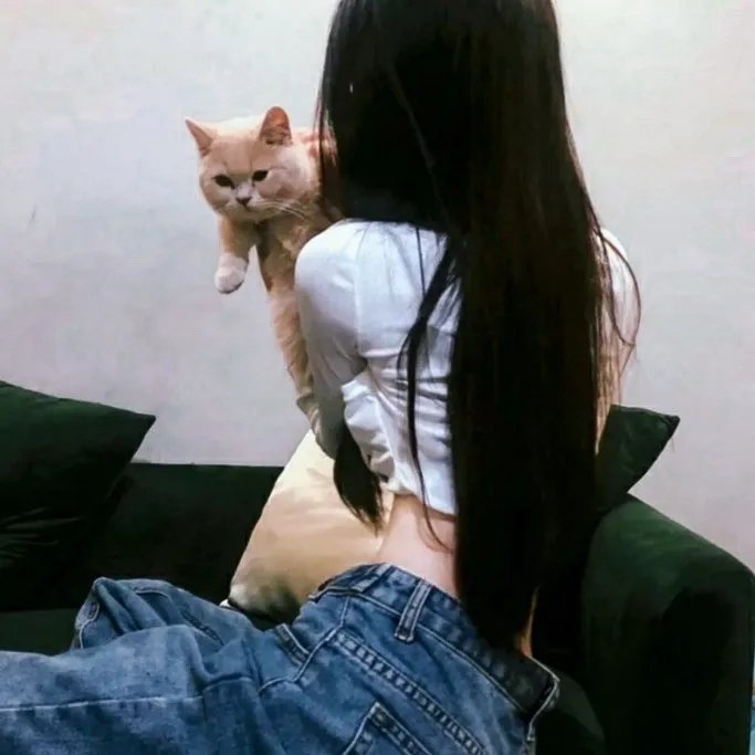 小旋风柴进之丹书铁券